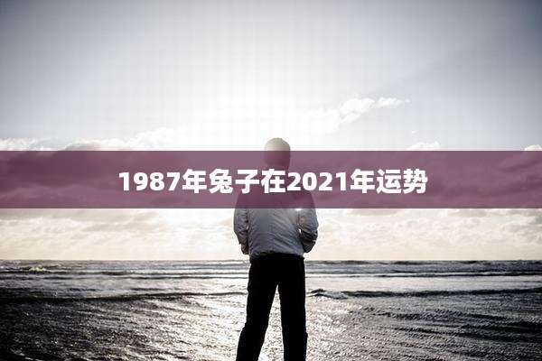1987年兔子在2021年运势