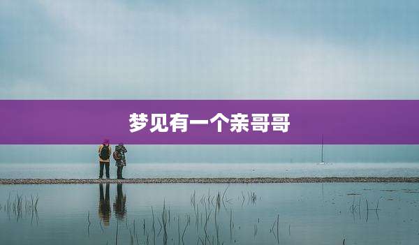 梦见有一个亲哥哥