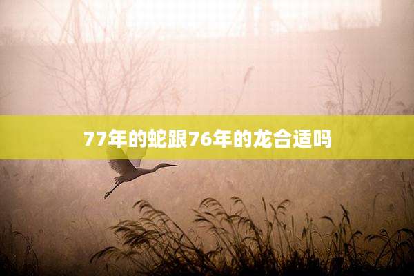77年的蛇跟76年的龙合适吗
