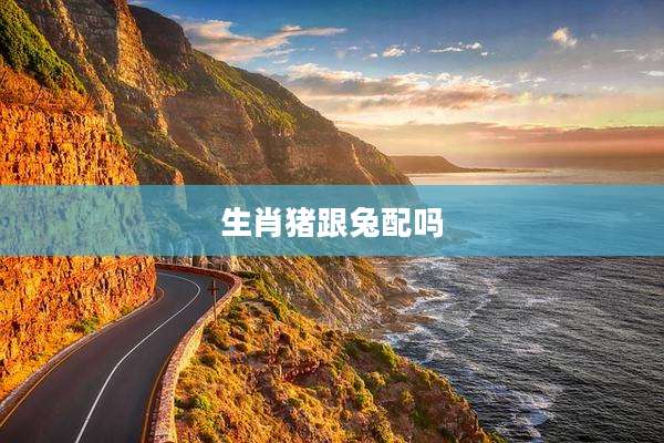 生肖猪跟兔配吗