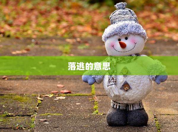 落逃的意思
