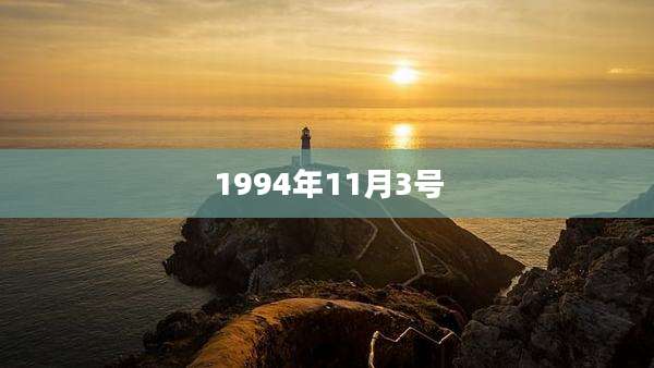 1994年11月3号