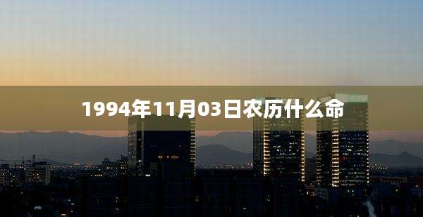 1994年11月03日农历什么命
