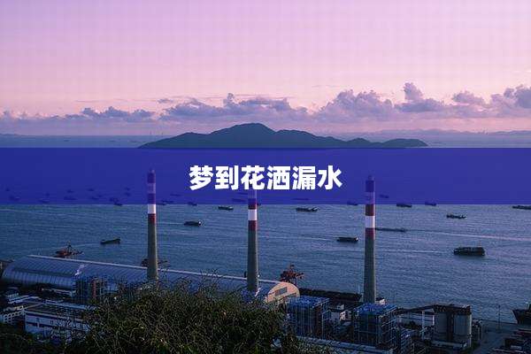 梦到花洒漏水