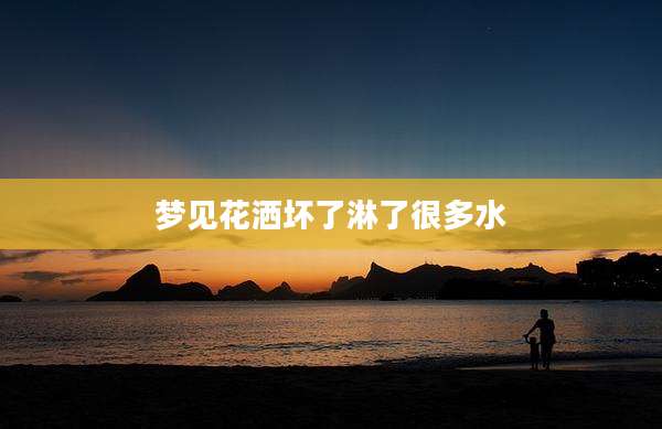 梦见花洒坏了淋了很多水