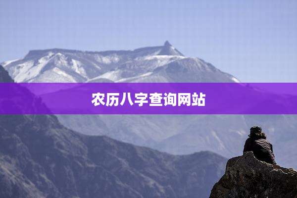 农历八字查询网站