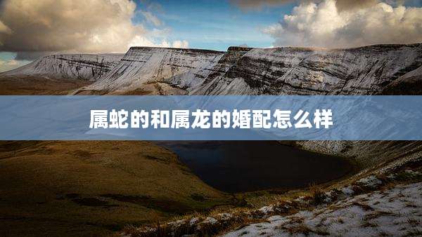 属蛇的和属龙的婚配怎么样