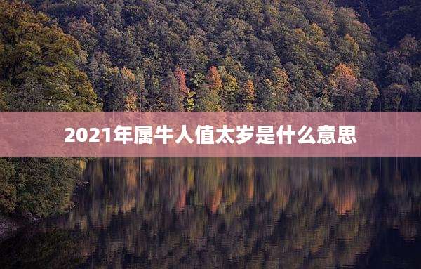 2021年属牛人值太岁是什么意思