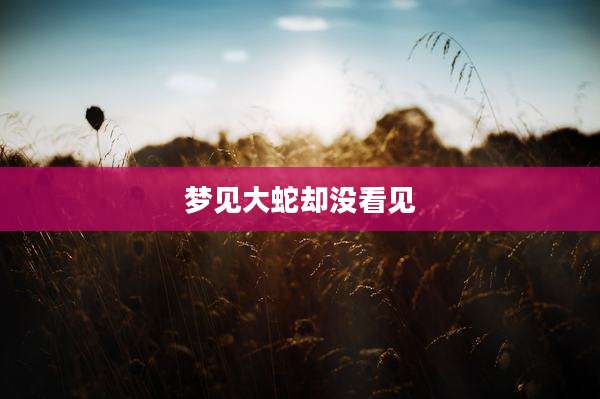 梦见大蛇却没看见