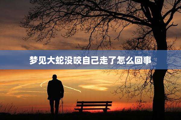 梦见大蛇没咬自己走了怎么回事