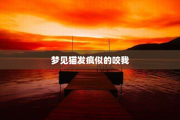 梦见猫发疯似的咬我