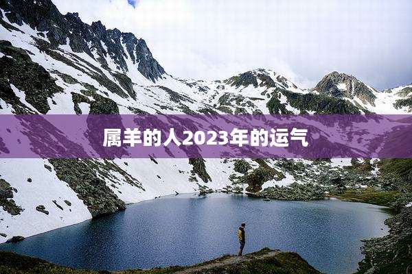 属羊的人2023年的运气