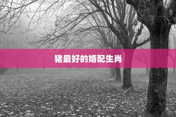 猪最好的婚配生肖