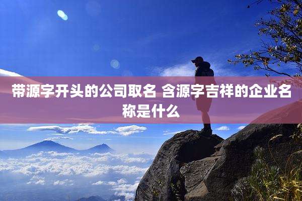 带源字开头的公司取名 含源字吉祥的企业名称是什么