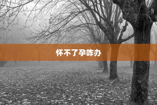怀不了孕咋办