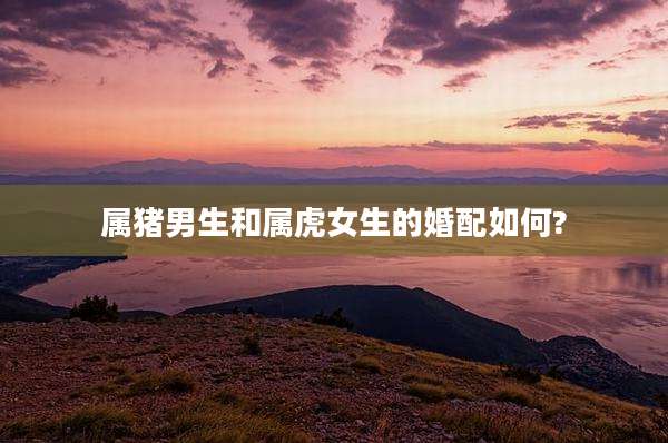属猪男生和属虎女生的婚配如何?