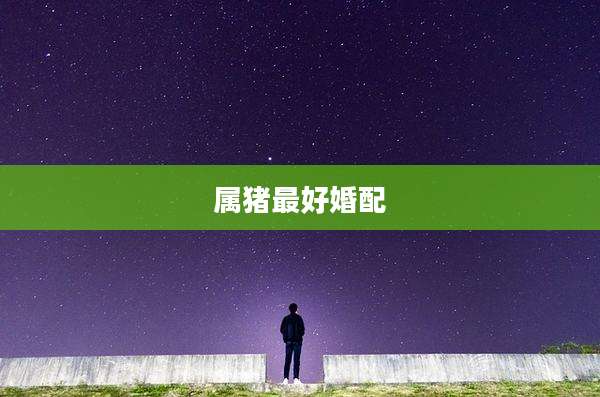 属猪最好婚配