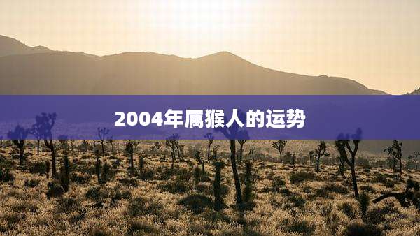 2004年属猴人的运势