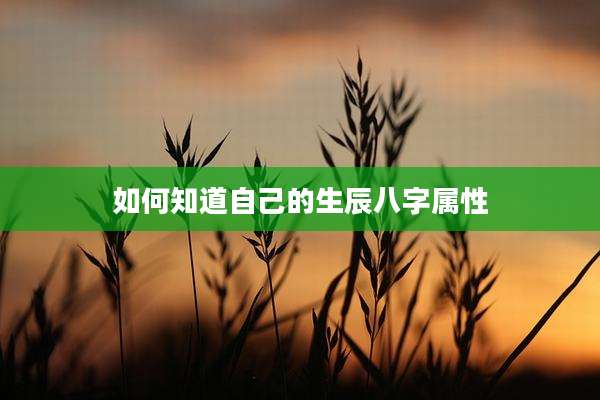 如何知道自己的生辰八字属性