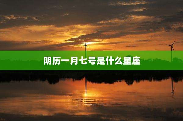 阴历一月七号是什么星座