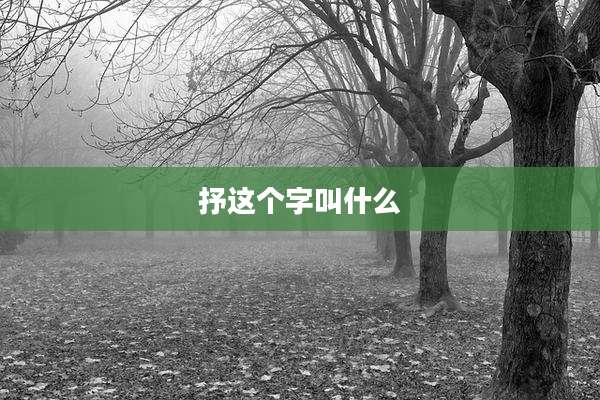 抒这个字叫什么