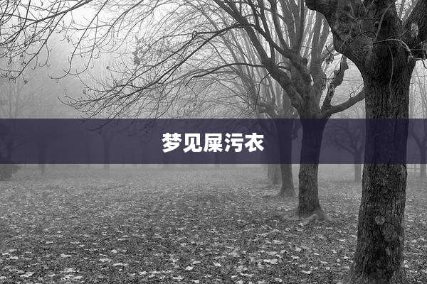 梦见屎污衣