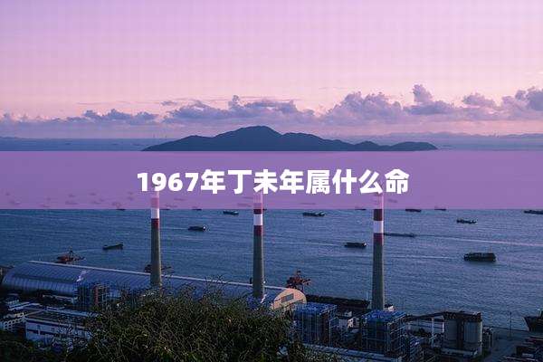 1967年丁未年属什么命