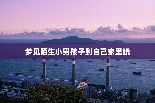梦见陌生小男孩子到自己家里玩