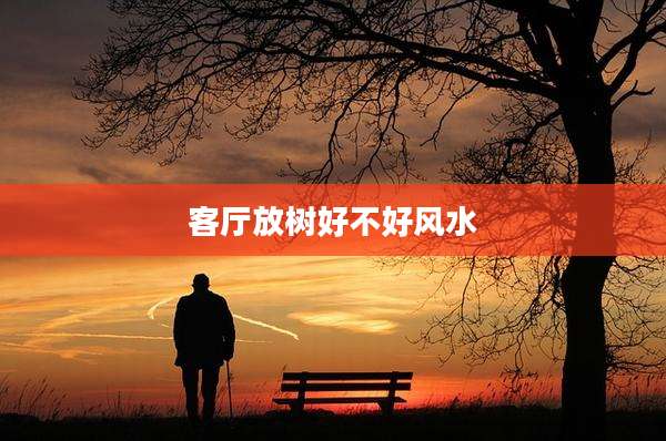 客厅放树好不好风水