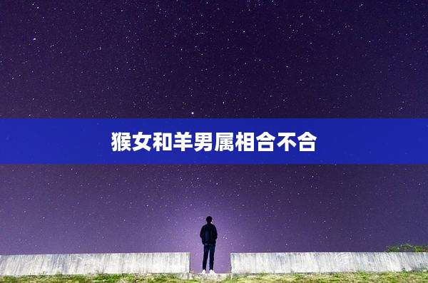 猴女和羊男属相合不合