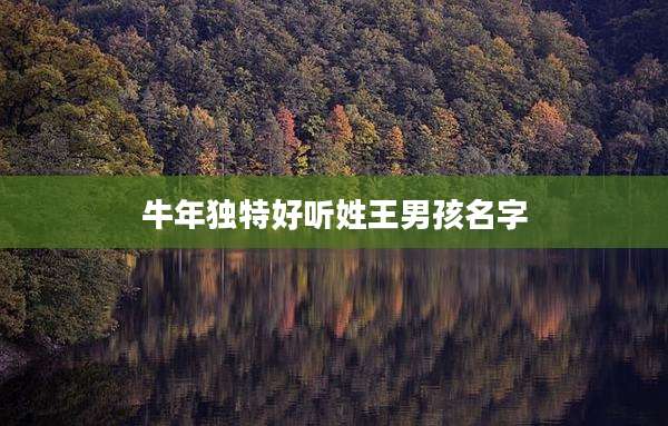 牛年独特好听姓王男孩名字