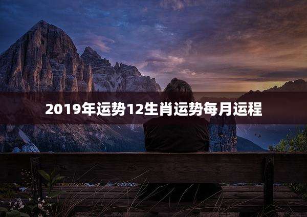 2019年运势12生肖运势每月运程