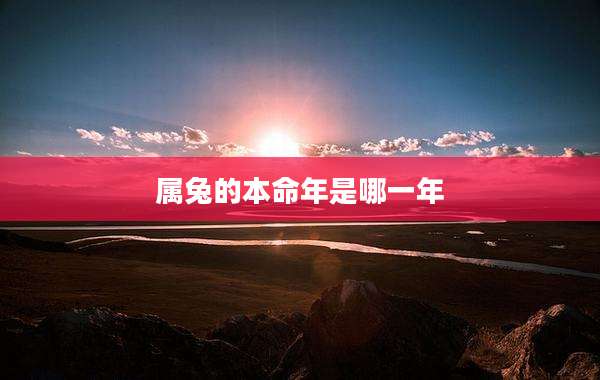 属兔的本命年是哪一年