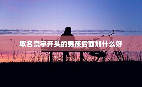 取名崇字开头的男孩后面加什么好