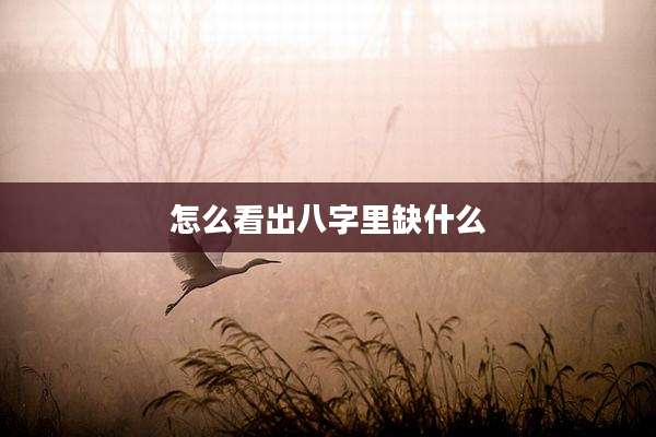 怎么看出八字里缺什么
