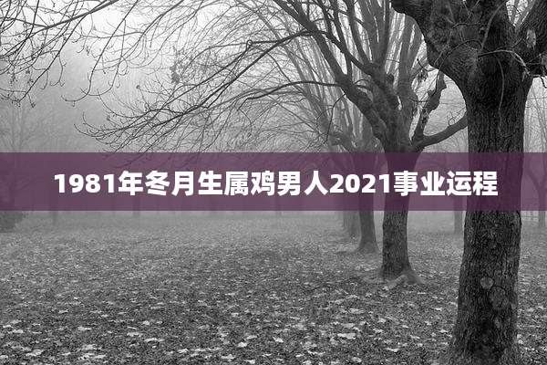 1981年冬月生属鸡男人2021事业运程