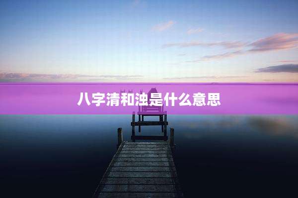 八字清和浊是什么意思