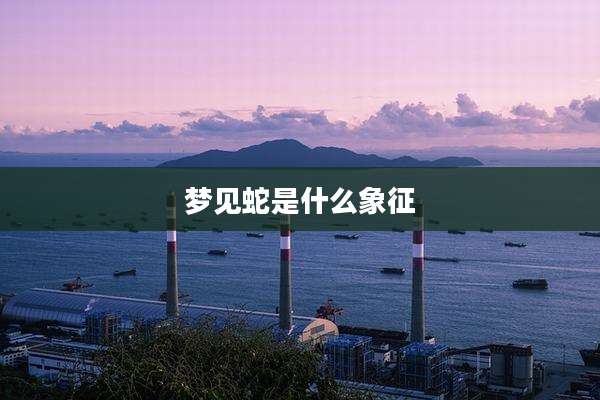 梦见蛇是什么象征