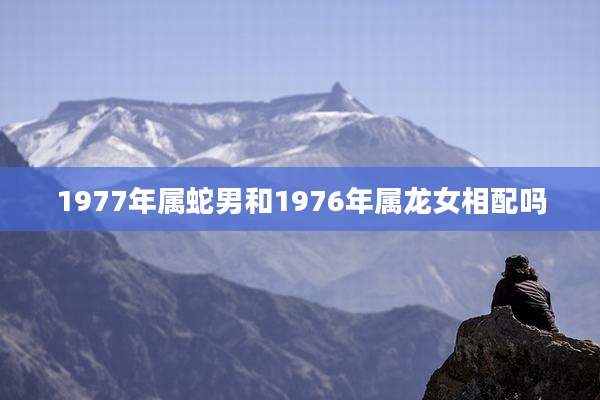 1977年属蛇男和1976年属龙女相配吗