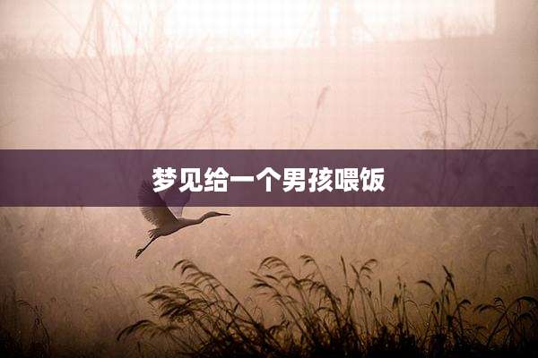 梦见给一个男孩喂饭