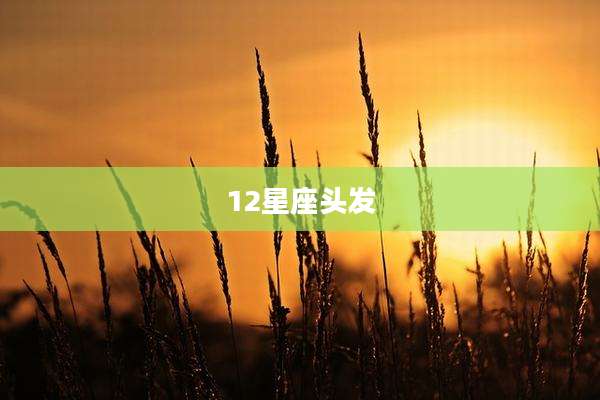 12星座头发