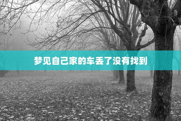 梦见自己家的车丢了没有找到
