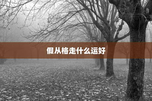 假从格走什么运好