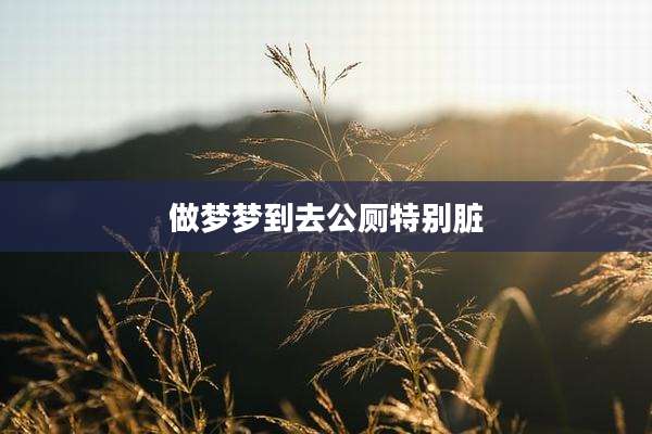 做梦梦到去公厕特别脏