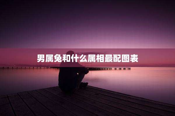 男属兔和什么属相最配图表