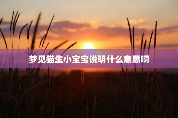 梦见猫生小宝宝说明什么意思啊