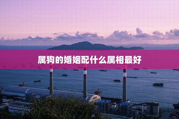 属狗的婚姻配什么属相最好