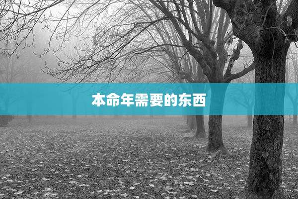 本命年需要的东西