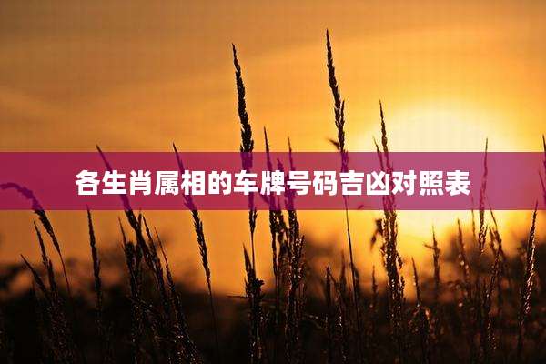 各生肖属相的车牌号码吉凶对照表