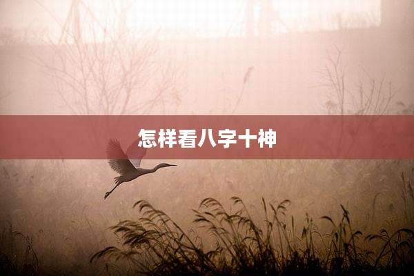 怎样看八字十神